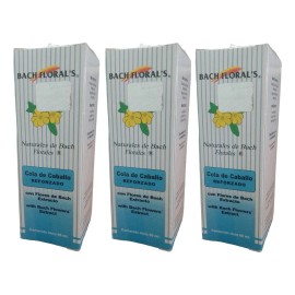 Extracto Flores Bach Cola Caballo 60ml Pack