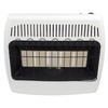 Dyna-Glo IR30NMDG-1 30,000 BTU Natural Gas Infrared Wall Heater