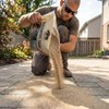 Rhino Power Bond Plus - Polymeric Sand for Pavers and