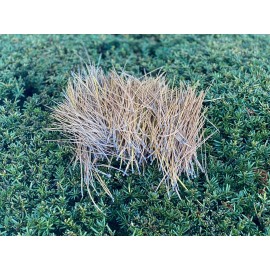 Bringing Outdoors Indoors Red Pine Needles, Dried, 4 ounces