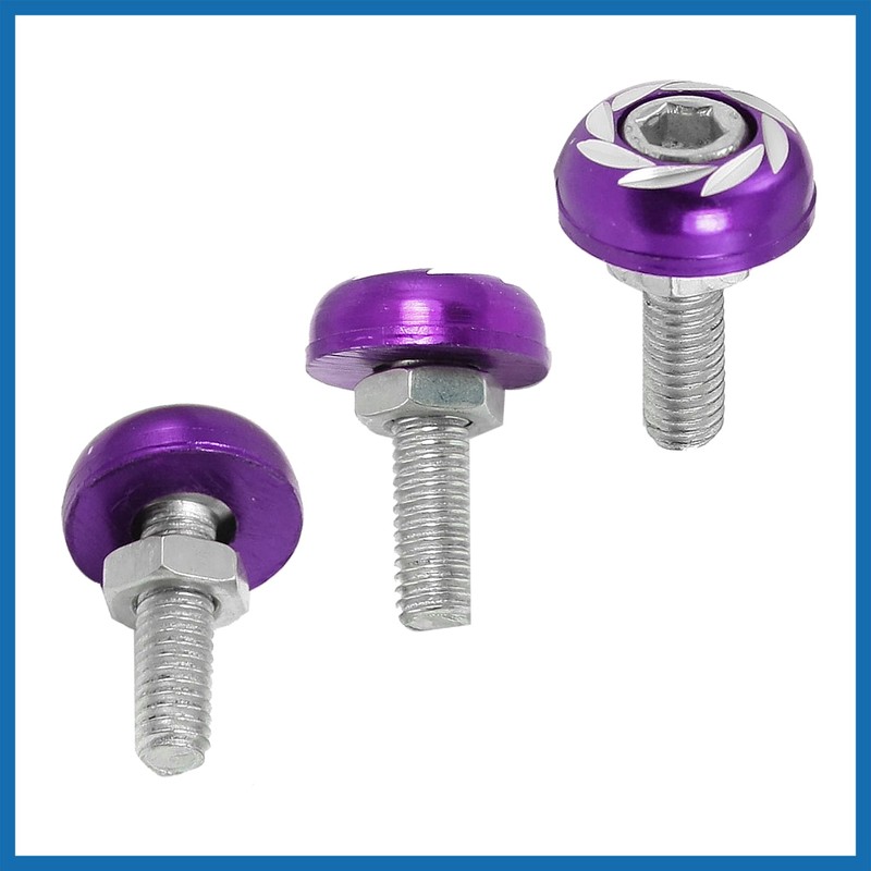 A ABSOPRO Purple Silver Tone License Plate Bolts Screws Car
