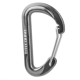 TITECOUGO Carabiner, Small, Multi-functional, Backpack, Small Items, Stylish, Aluminum, D Ring, D-Hook, Snap, Outdoor Keychain, For Fishing, Climbing, Hiking, Camping, Travel, Lightweight, Office,