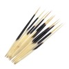 YNuth Set of 10 Pieces Porcupine Quills Craft Accessory Lenght