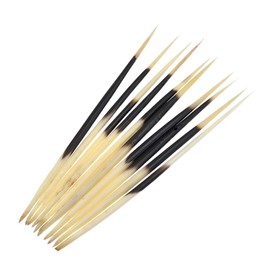 YNuth Set of 10 Pieces Porcupine Quills Craft Accessory Lenght 20-22cm