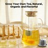 Reinmoson Tea Balls for Loose Tea, 304 Stainless Steel Extra