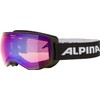 Alpina Sports Naator HM A7269 8 32 Ski Goggles Plastic/Polycarbonate