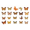 Kurimi Stickers Set of 40 Butterflies, Foil Stamping, Wrapping, Stylish,