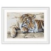 Thea Gouverneur - Counted Cross Stitch Kit - Tiger -