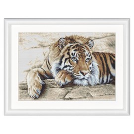 Thea Gouverneur - Counted Cross Stitch Kit - Tiger - Aida - 14 Count - Embroidery Kit for Adults - DMC Embroidery Threads and Other Cross Stitch Supplies Included - 579A