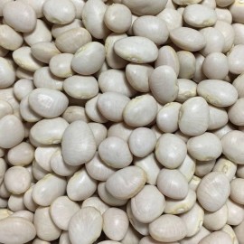 Southeast Seeds White Dixie Butterpea  Seeds, NON-GMO, Lima Bean, Shell or Dry Bean, FREE SHIP - 30 Seeds or 1/4 OZ