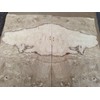 Olive Ash Burl Wood Veneer 11" x 18" with no