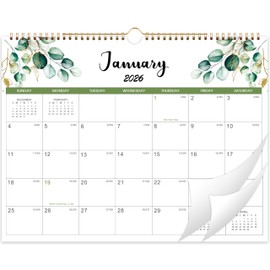 Calendar 2026-2027, 18 Months Wall Calendar from January 2026 to June 2027, 14.6" x 11.4", 2026 Calendar with Thick Paper, Twin-Wire Binding, Hanging Hook, Holidays, Julian Dates