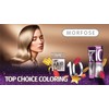 Morfose 10 Professional Hair Colour Cream 100 ml, No. 5.3