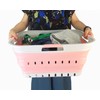 SAMMART 42L (11 gallon) Collapsible Plastic Laundry Basket - Foldable