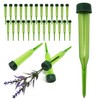 Floral Water Picks 4.75" by LifeStyle Channel, 30 Pack Green