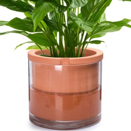 Phoenix Vine 10 Inch Self Watering Planter Pot, Design White Terracotta Pot for Plants, Indoor Cylinder Terra Cotta Pot with Glass Vase, Set of 1, 51-A-I-1