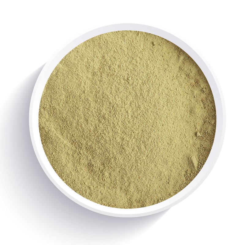Selmade Bitter Melon Powder 300g 1 Bottle