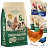 Hatortempt Mealworms Organic Non GMO Dry Chicken Feed, 5lb Bag