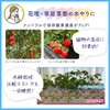 Irrigation Revolution Nano Bubble Irrigation Hose Attachment Nano Bubble Generator