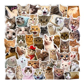 Gatos Divertidos Memes-B 50 Calcomanías Stickers Pvc Vs Agua Stickers Variados Sin Repetir Impermeables Removible Diseños Únicos Para Electrónicos, Laptops, Termos, Celulares