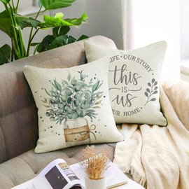 Norala Spring Pillow Covers 20x20 Set of 4 Spring Pillows Decorative Throw Pillows Light Blue Pillowcase Summer Decorations Farmhouse Decor for Couch Sofa