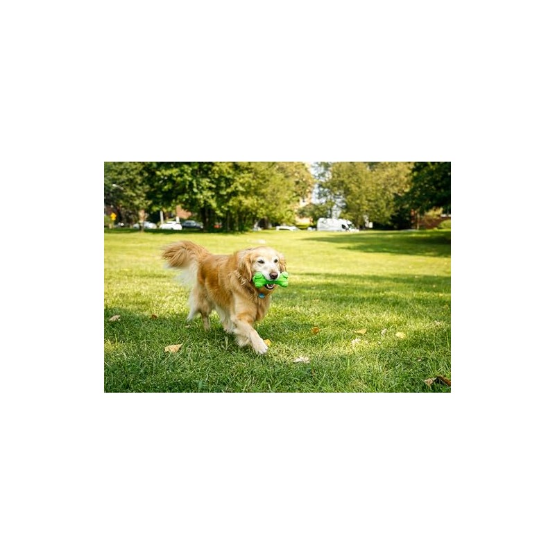 Hartz DuraPlay Bone Squeaky Latex Dog Toy, Large, 3 Pack