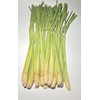 Lemon Grass Stalks, Freshly Harvested, 10 Count, For Thai Cooking