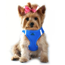 Doggie Design Dog Harness - No Choke Dog Harness, Dog Vest, Mesh Polyester, Pet Harness, Simple Step in and Go Design, Harness for Dog - Cobalt Blue, XS