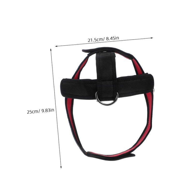 BESPORTBLE Training Strap Neck Neck Exerciser for Strength Training Suitable