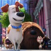 Ravensburger 9413 The Secret Life of Pets Jigsaw Puzzles -