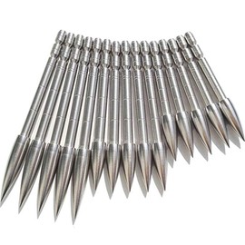 ZSHJG 12 x Arrowheads Hunting Tips Archery Arrow Tips Insert Arrowhead for 4.2 mm Carbon Arrow Shaft Arrowhead Tips (100 Grain)