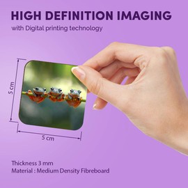 1 x Square MDF Fridge Magnet - Tree Frogs Java Flying Frog Branch 15888