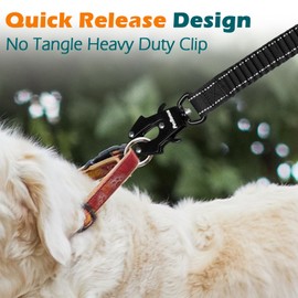 PetBonus Bungee Dog Leash Extension, 18'' Shock Absorbing Lead Extender