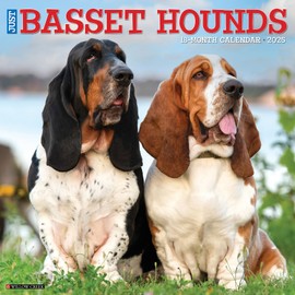 Willow Creek Press Basset Hounds Monthly 2025 Wall Calendar (12" x 12")