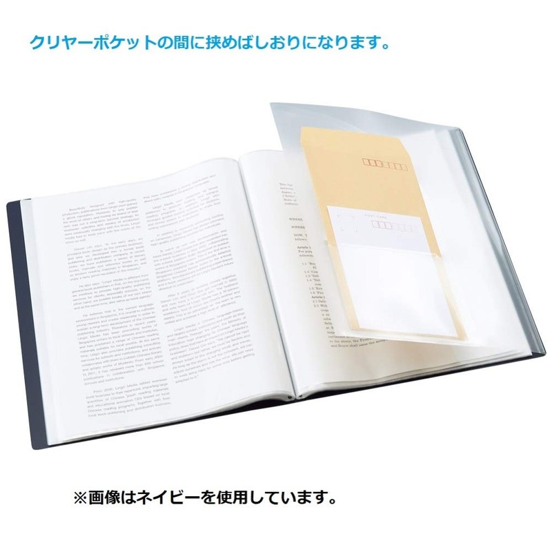 Lihit Lab N7752-24 File Clear Book A4 40 Pockets ALTNA