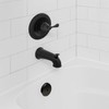 Danco Single Hole Tub Drain Overflow Plate | One Hole