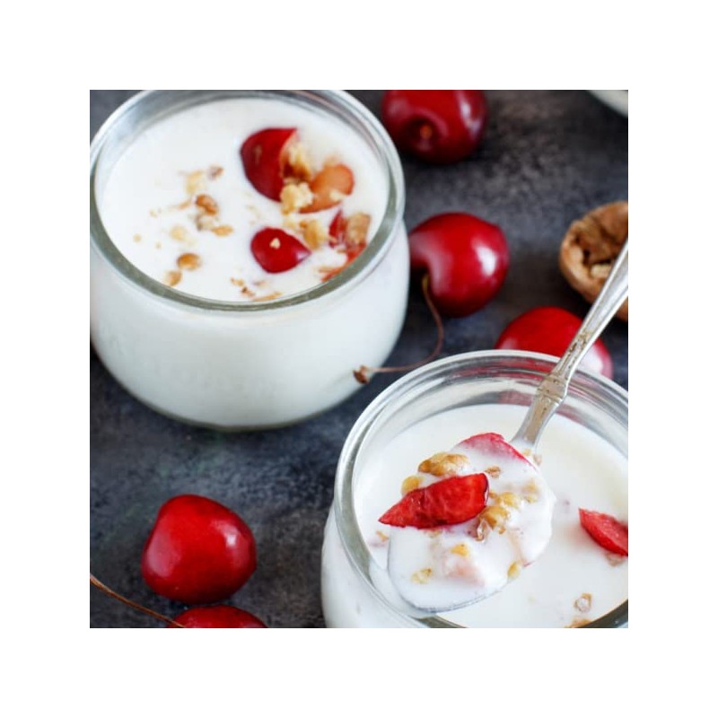 Freshly Fermented – Meso Organic Certified Freeze Dried Yoghurt Starter