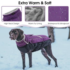 Queenmore Warm Fleece Dog Jacket, Cold Weather Waterproof Dog Snow Jacket with Leash Hole, Reflective Turtleneck Dog Snow Jacket Snowsuit, Dog Warm Coat for Small Medium& Large Dogs(Purple,L)