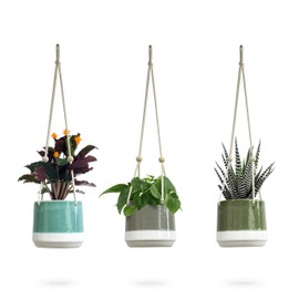 Ceramic Hanging Planter, Colorful Succulent Pots, Round Plant Holder Container, Cactus Pot with Cotton Rope Hanger, Indoor Outdoor Decor, 23 Bees (3 Pack x Pop of Color)