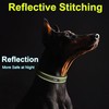 Fida Padded Dog Collar, Metal Belt Buckle Dog Collar with
