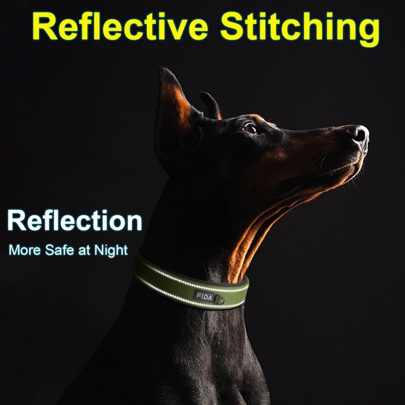 Fida Padded Dog Collar, Metal Belt Buckle Dog Collar with