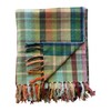 Creative Co-Op Plaid Woven Cotton Throw with Pattern and Fringe,