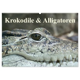 Krokodile & Alligatoren (Wandkalender 2026 DIN A2 quer), CALVENDO Monatskalender: Gigantische Urzeitechsen ganz nah sehen (CALVENDO Tiere)