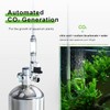 FZONE 4 L Aquarium CO2 Generator System Carbon Dioxide Reactor