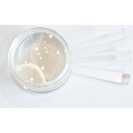 ScienceWiz - 4X Magnifier (Pack of 3)