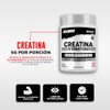 Testrol Creatina Essential en Polvo Creatina Monohidratada Apoyo a Potencia,