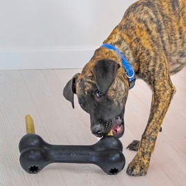 KONG Extreme Goodie Bone – Tough Rubber Dog Chew Toy for Aggressive Chewers – Treat-Dispensing Bone for Extended Play – Black, Extra Large