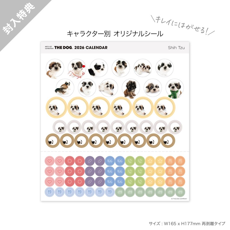 THE DOG Calendar 2026 Wall-Mounted Mini Size [Shih Tzu]