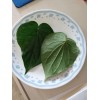 Unbranded 40 Fresh Organic Betel Leaves Leaf (Paan Patha, Pann,