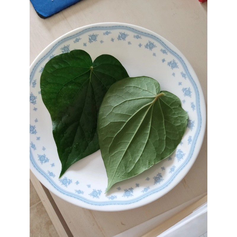 Unbranded 40 Fresh Organic Betel Leaves Leaf (Paan Patha, Pann,
